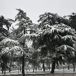 Hotel Giulietta 3*