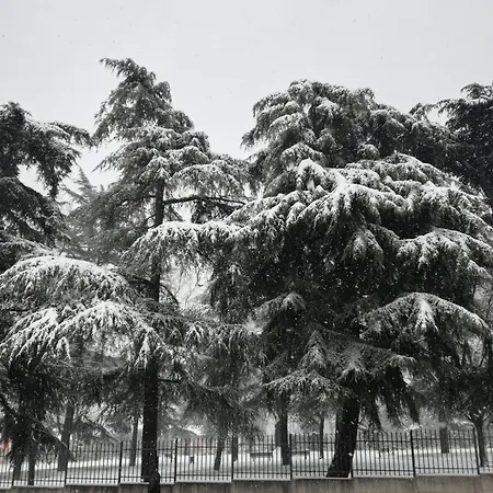 מלון Giulietta 3*